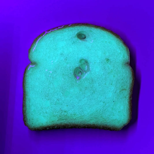 Daily Bread #041 “Aqua Glow”