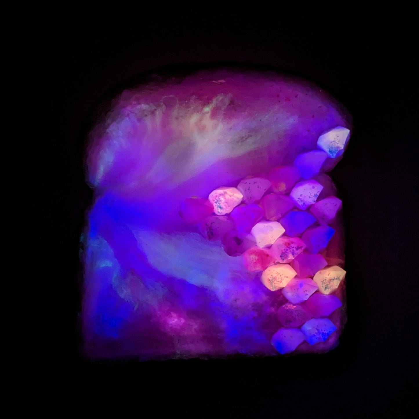 Daily Bread #294 "Pinkie"