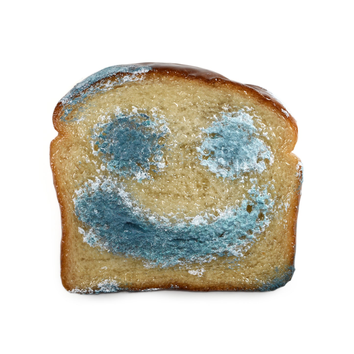Moldy Smile Custom Bread