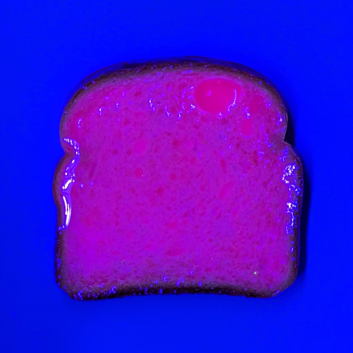 Daily Bread #031 "Bubbledumb"