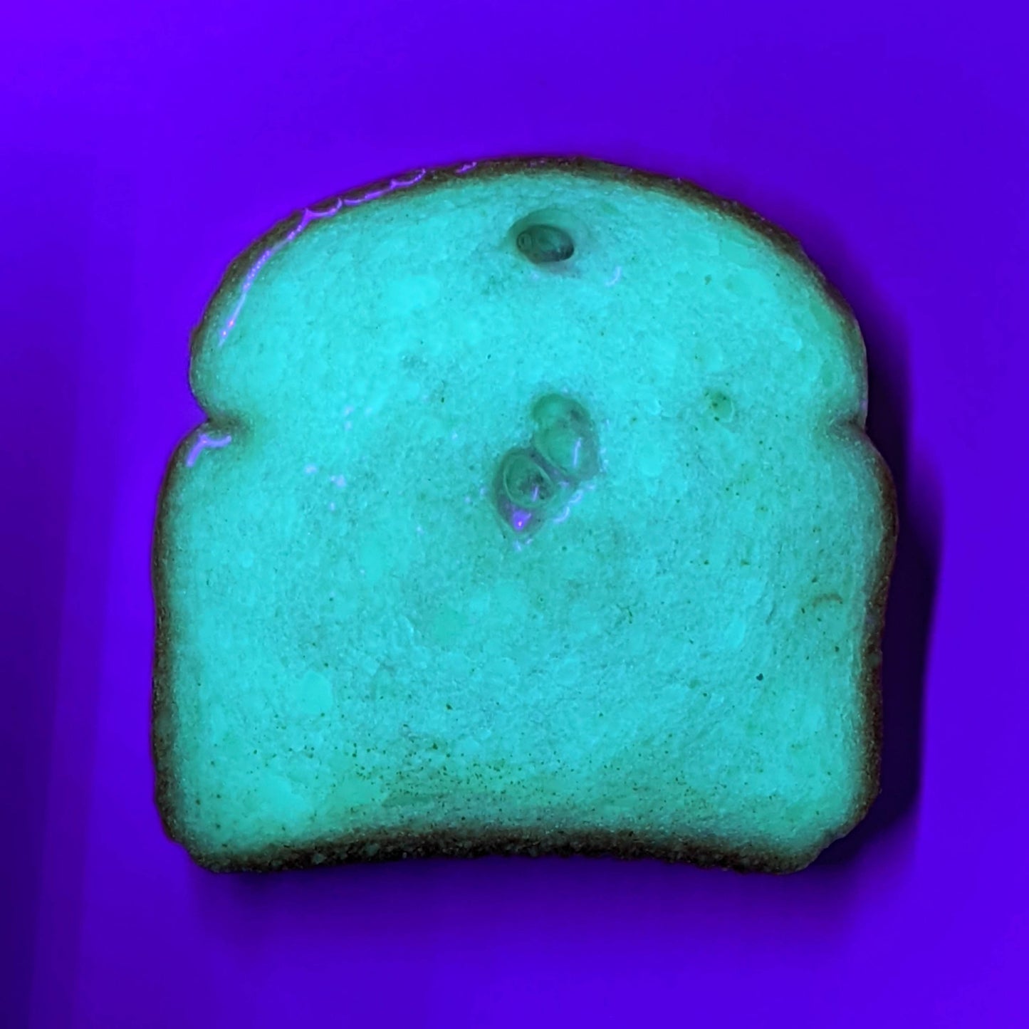Daily Bread #041 “Aqua Glow”