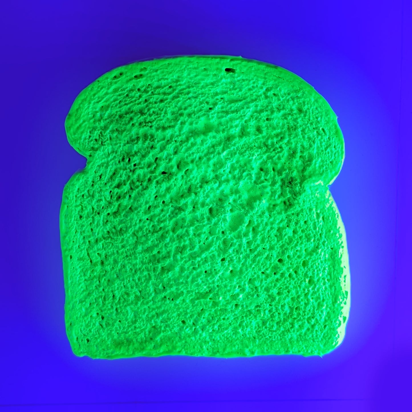 Daily Bread #142 "Lame Lime"