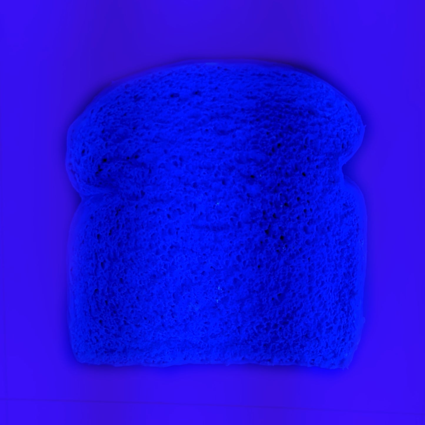 Daily Bread #143 "Bland Blue"