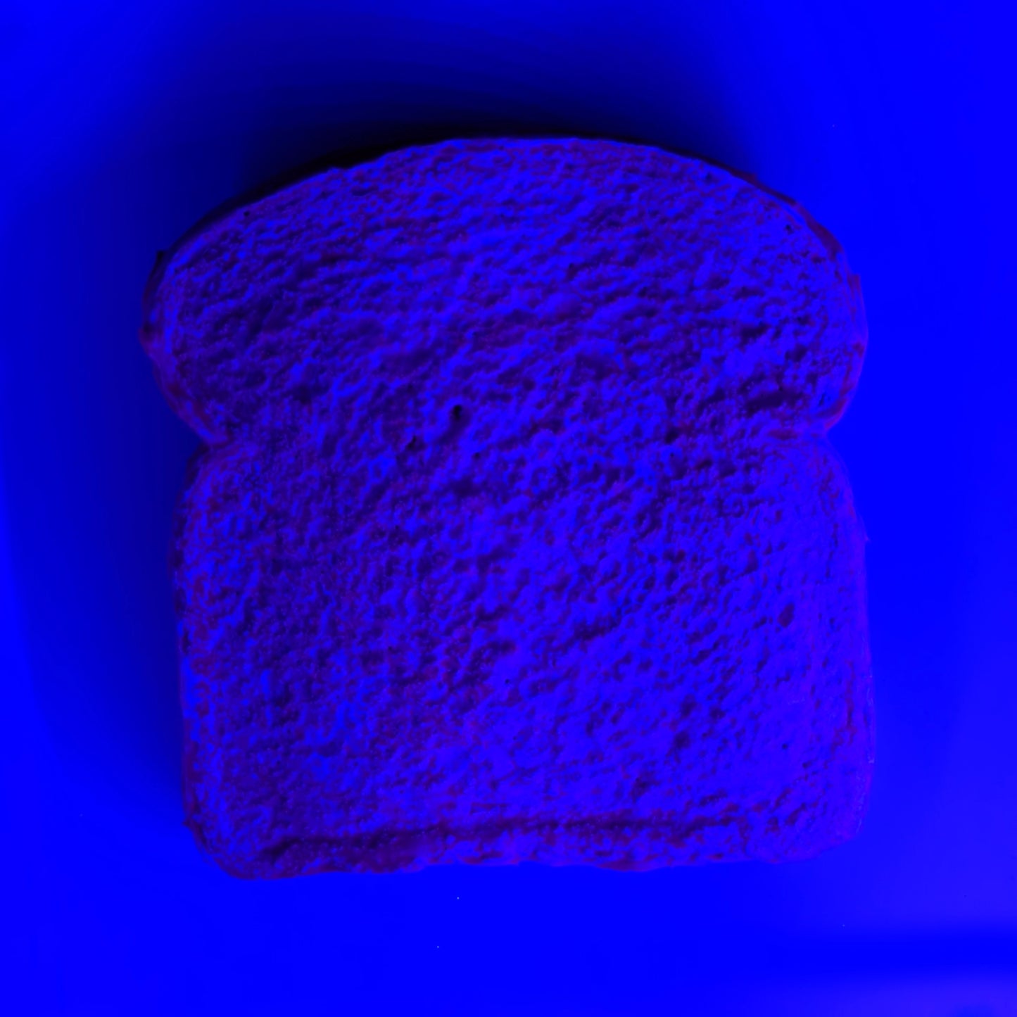 Daily Bread #144 "Vile Violet"