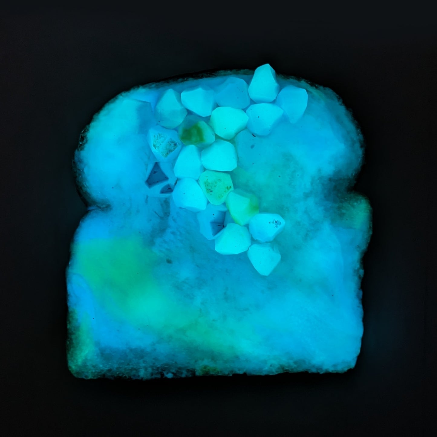 Daily Bread #292 "Blinkie"