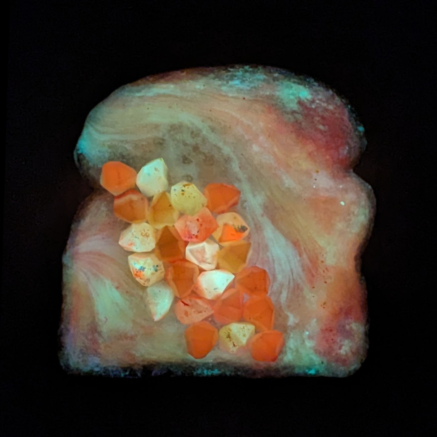 Daily Bread #293 "Stinkie"