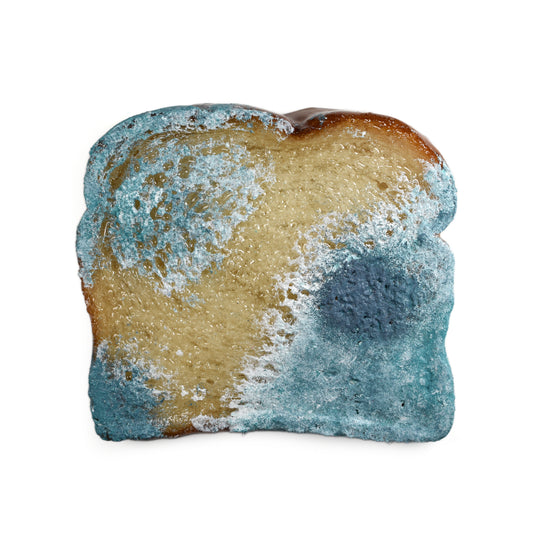 Daily Bread #376 "More Mold"