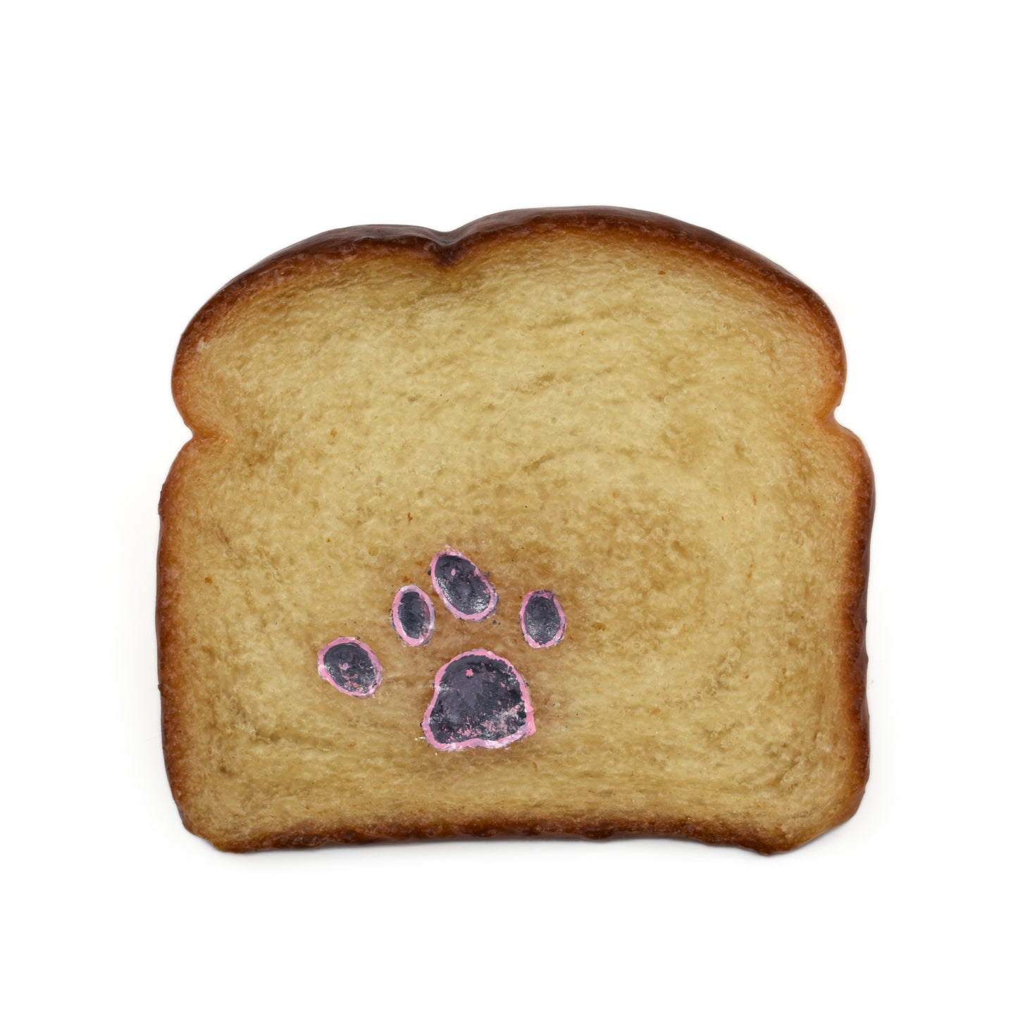 Daily Bread #477 "My cat stepped on this bread"